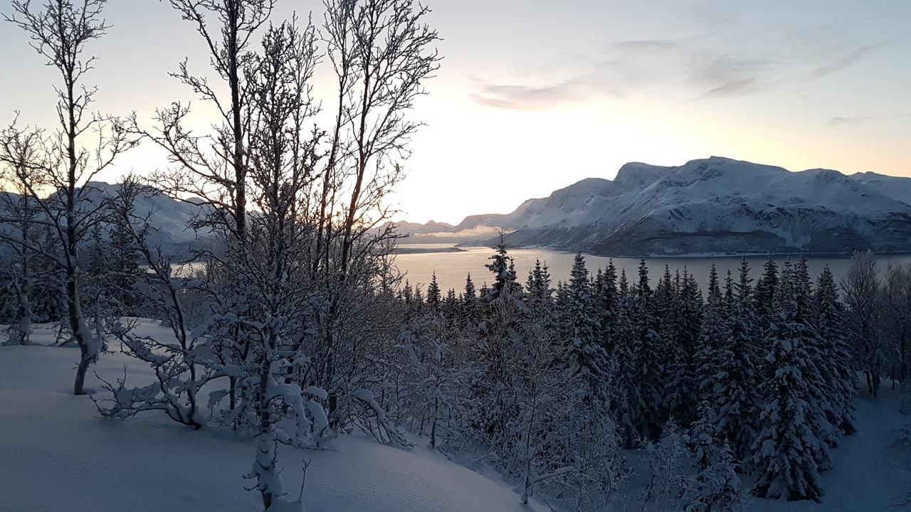 Villa Slettvold Lyngen Svensby Exterior foto
